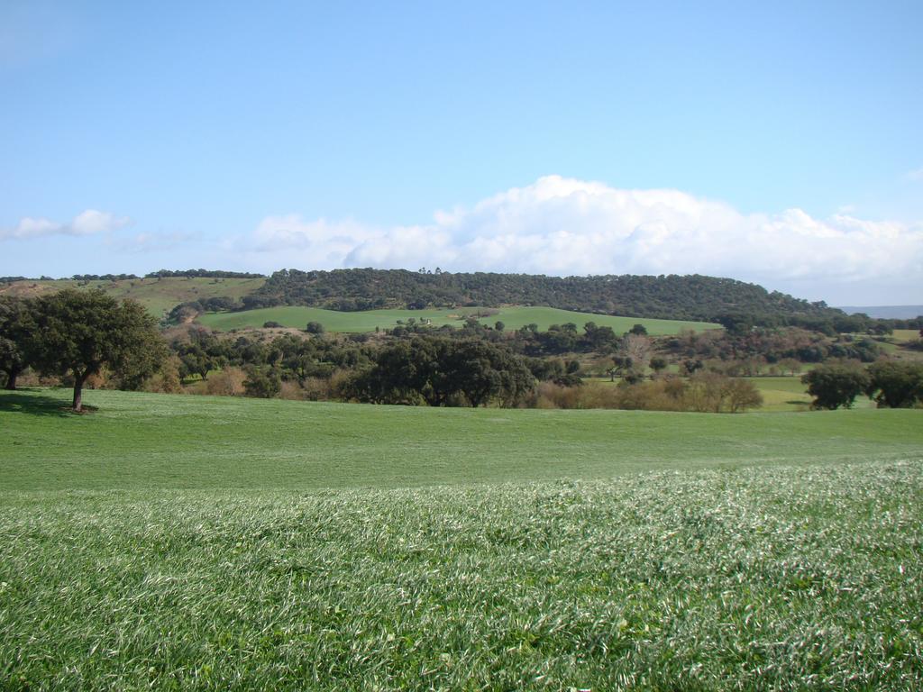 Quinta Da Mata Villa Sobral  Kamer foto